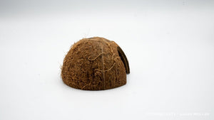 Kokosnussschale / Höhle mit Seiteneingang - GarnelenTv-Shop