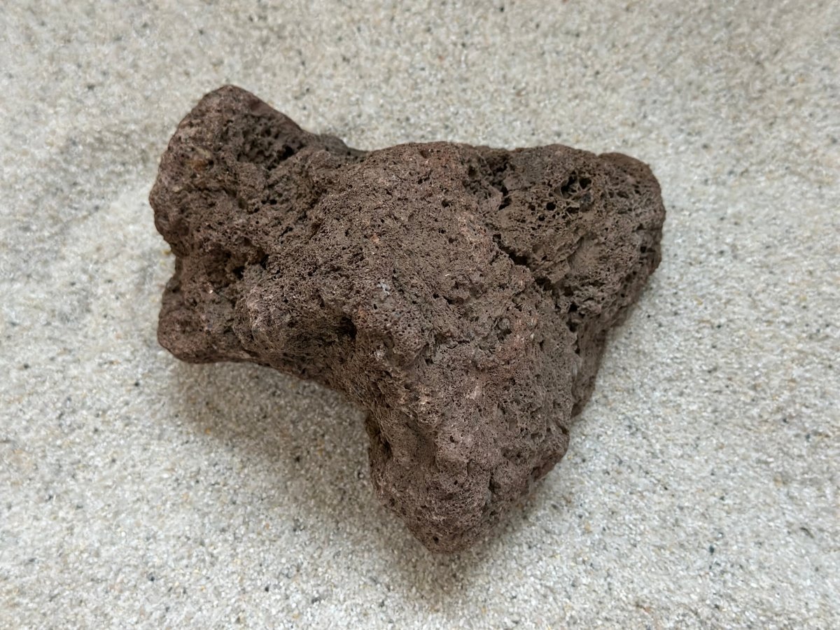 Lava Stein - 1kg - GarnelenTv-Shop

Lava Stein 1kg – Fördert gesunde Wasserqualität im Aquarium


