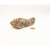 Mini Landschaft - 1173g - GarnelenTv-Shop

Mini Landschaft Stein 1173g

