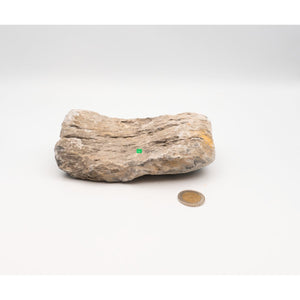 Mini Landschaft - 1173g - GarnelenTv-Shop

Aquarien Dekoration Mini Landschaft Stein

