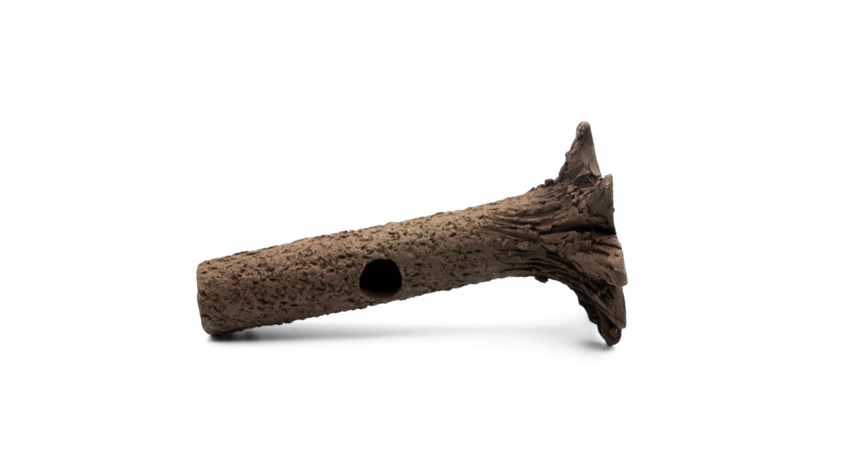 Nano Garnelenstamm 10 cm braun/schwarz - GarnelenTv-Shop

Nano Garnelenstamm braun/schwarz für Aquarien
