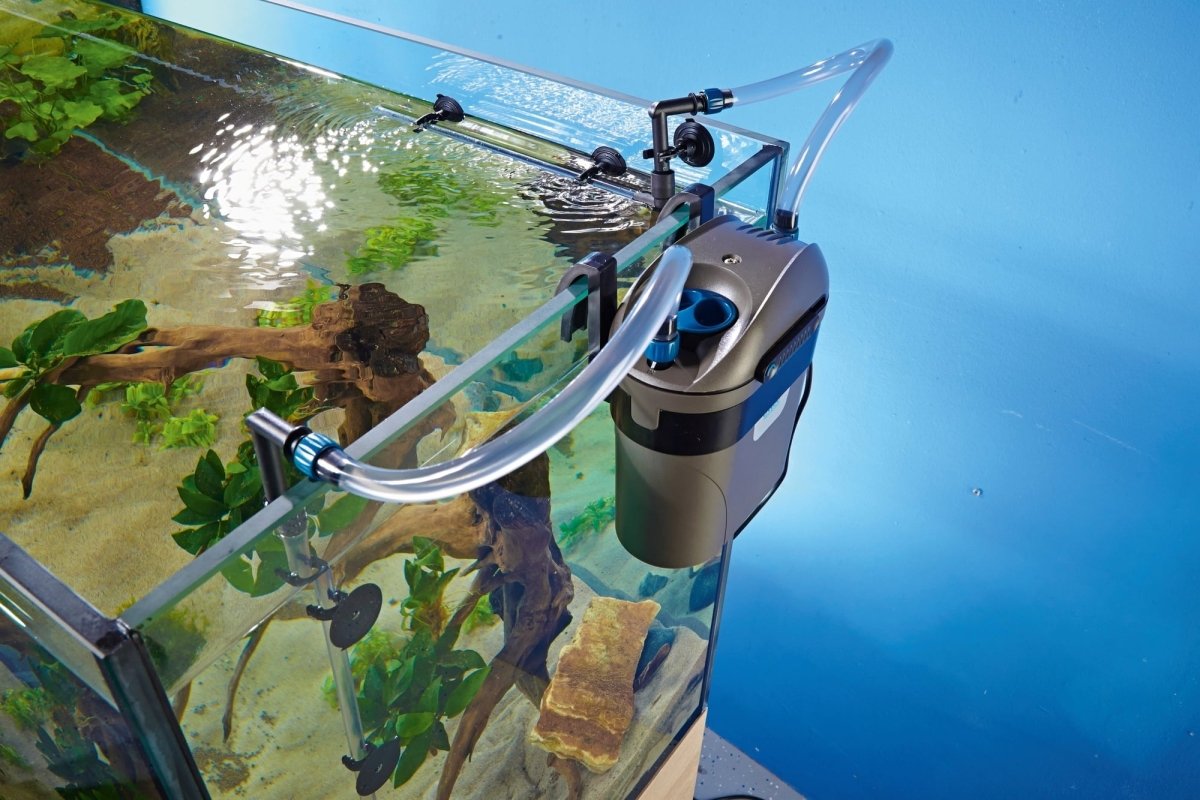Oase- FiltoSmart 60 - GarnelenTv-Shop

FiltoSmart 60 für Aquarien bis 60L – Mechanisch-biologische Filterung

