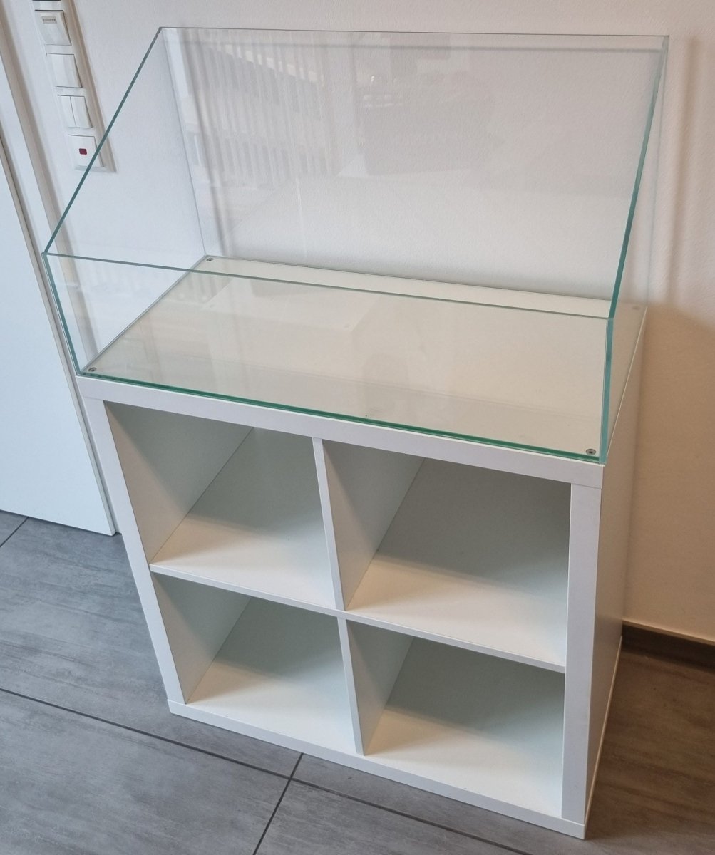60l Paludarium für IKEA Kallax Regal