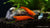 Orange Fire Garnele - Sakura Sunkist Garnele - Neocaridina davidi "Orange" (DNZ) - GarnelenTv-Shop

Lebendige orange Orange Fire Sakura Garnele

