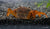 Pantherkrabbe - Parathelphusa pantherina - GarnelenTv-Shop

Pantherkrabbe mit auffälligem Muster im Aquarium

