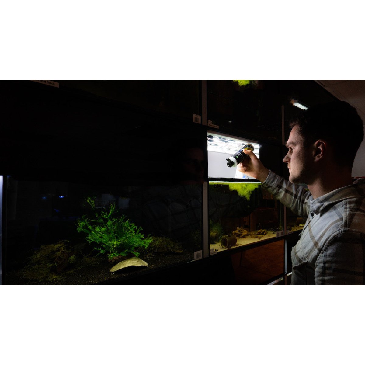 Natürliche Huminstoffe für Aquaristik