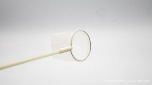 Profi Garnelenkescher | Fiberglas 35 cm - GarnelenTv-Shop

Feines Netz Garnelenkescher
