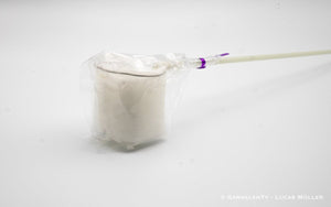 Profi Garnelenkescher | Fiberglas 35 cm - GarnelenTv-Shop

Garnelenkescher 35 cm Fiberglas
