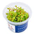 Rotala sp.'Yao Yai' - InVitro - GarnelenTv-Shop

Rotala sp. 'Yao Yai' InVitro – Rote Pflanze für den Hintergrund

