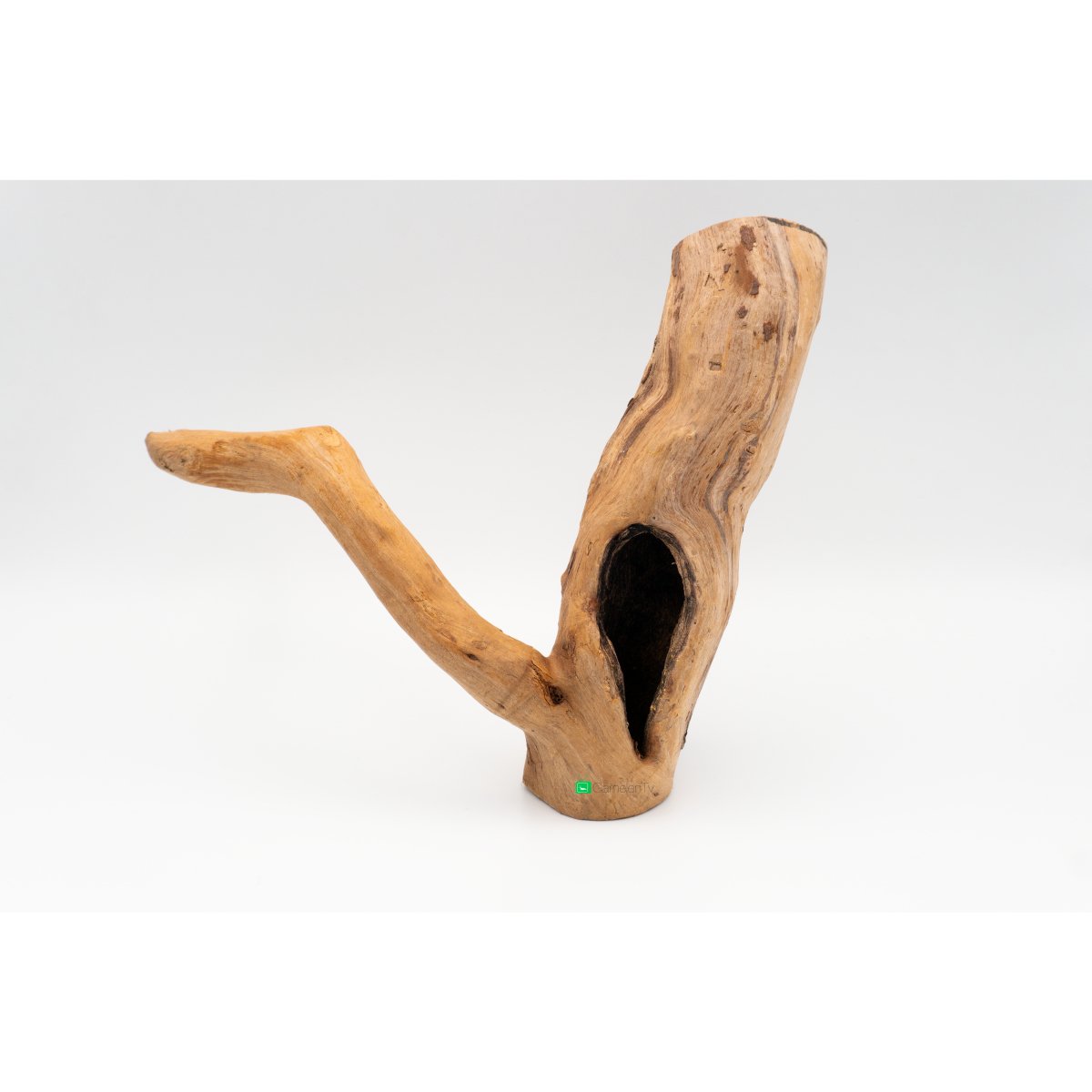 ROTE MOORWURZEL FINGERWURZEL - GarnelenTv-Shop

Rote Moorwurzel Fingerwurzel

