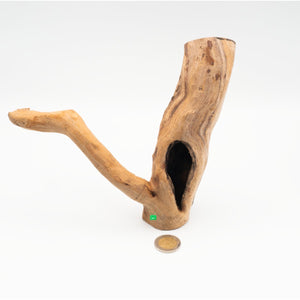ROTE MOORWURZEL FINGERWURZEL - GarnelenTv-Shop


Natürliche Aquarienwurzel Rote Moorwurzel


