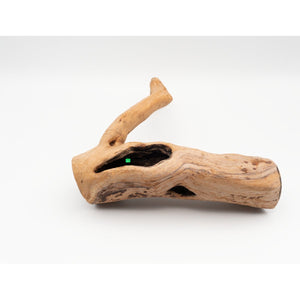 ROTE MOORWURZEL FINGERWURZEL - GarnelenTv-Shop


Fingerwurzel für Aquascaping

