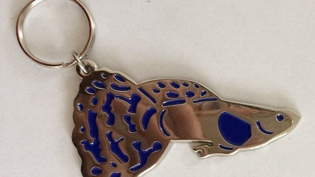 Schlüsselanhänger "Guppy" - GarnelenTv-Shop

Schlüsselanhänger "Garnele" aus Zinklegierung für Aquaristik-Fans

