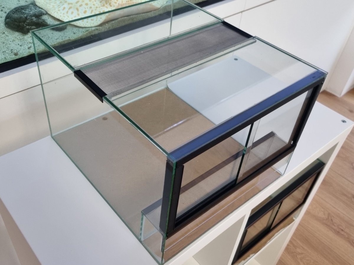 Terrarium 33x38x25cm (LxTxH) für IKEA Kallax - GarnelenTv-Shop

Transparentes Silikon Terrarium

