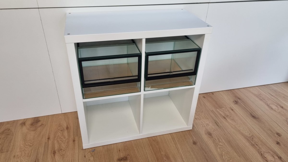 Terrarium 33x38x25cm (LxTxH) für IKEA Kallax - GarnelenTv-Shop

4mm Floatglas Terrarium
