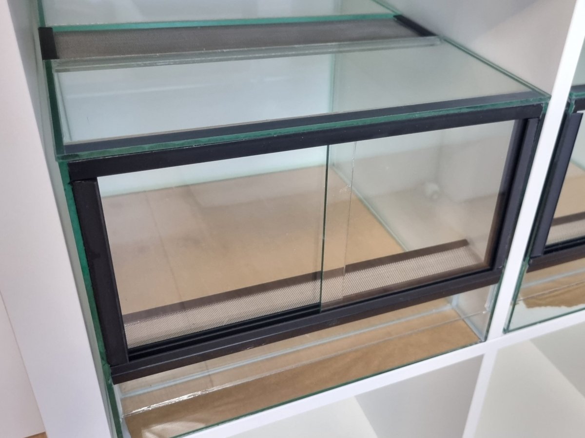 Terrarium 33x38x25cm (LxTxH) für IKEA Kallax - GarnelenTv-Shop

Terrarium für IKEA Kallax 33x38x25cm
