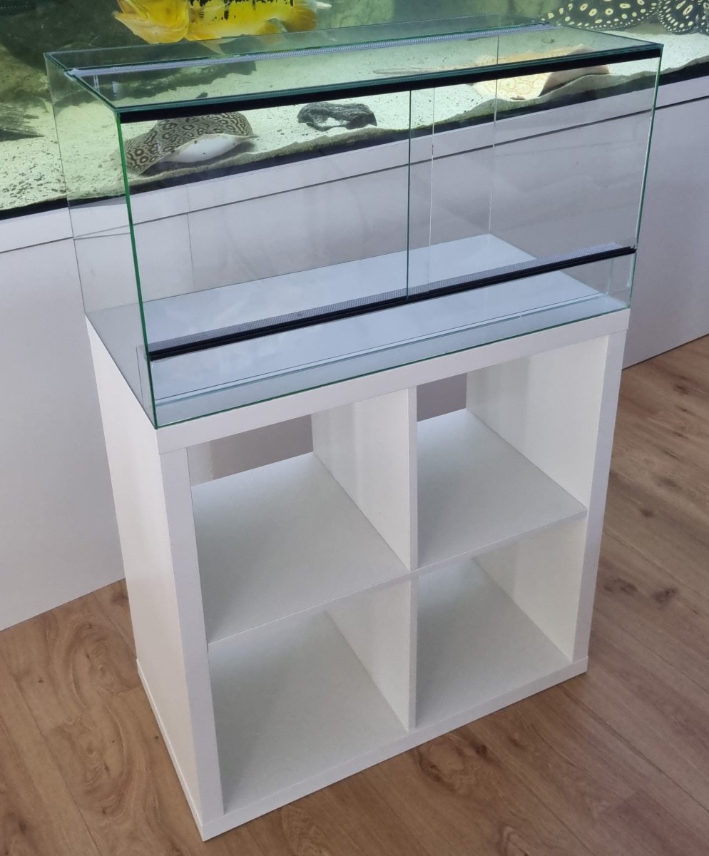 Terrarium 76,5x39x40cm (LxTxH) für IKEA Kallax - GarnelenTv-Shop

Terrarium für IKEA Kallax
