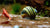 Zebra Apfelschnecke - Asolene spixi - GarnelenTv-Shop

Zebra Apfelschnecke – Asolene spixi im Aquarium
